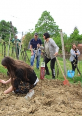 Vinske-kraljice-obiskale-Bizeljsko-2019-18
