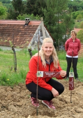 Vinske-kraljice-obiskale-Bizeljsko-2019-25