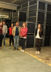 Vinske-kraljice-obiskale-Bizeljsko-2019-36