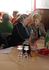 Zbor članov društva upokojencev Bizeljsko 2017 (7)