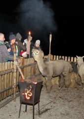 Zive-jaslice-na-Bizeljskem-2023-1