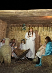 Zive-jaslice-na-Bizeljskem-2023-14