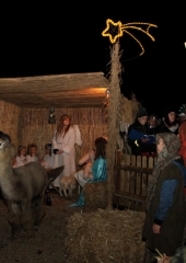 Zive-jaslice-na-Bizeljskem-2023-21